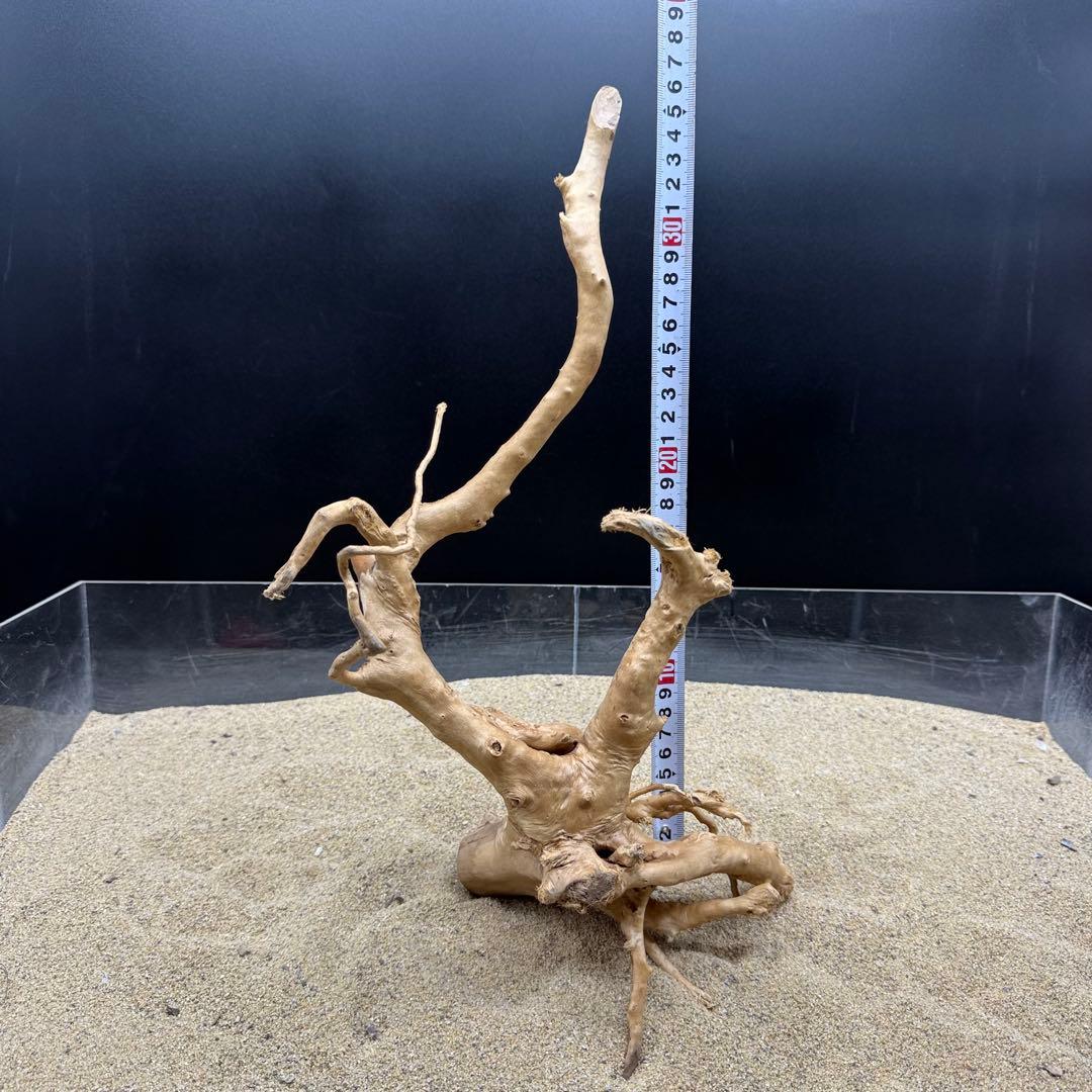 MDW-7164 ブランチウッド2本セット　流木　枝流木　アクアリウム