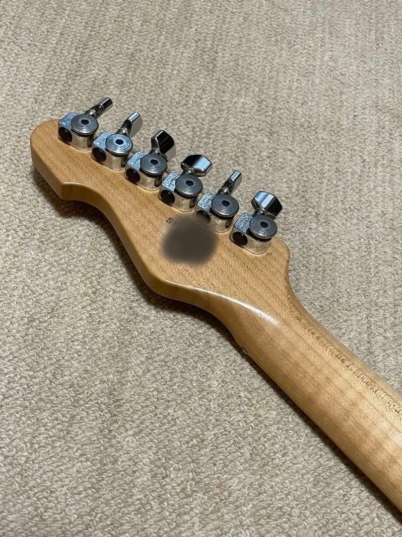 ESP snapper CTM プロ仕様