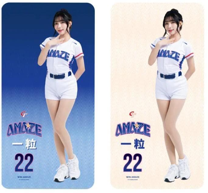 2026　WBC　22　一粒　応援　80cm両面ロングクッション