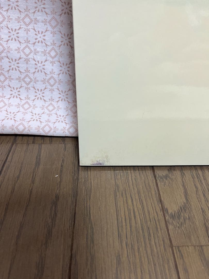 W*s様 【10月限定値下】レアhideグッズ　　写真パネル