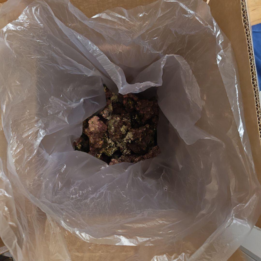 人工ライブロック 約12kg