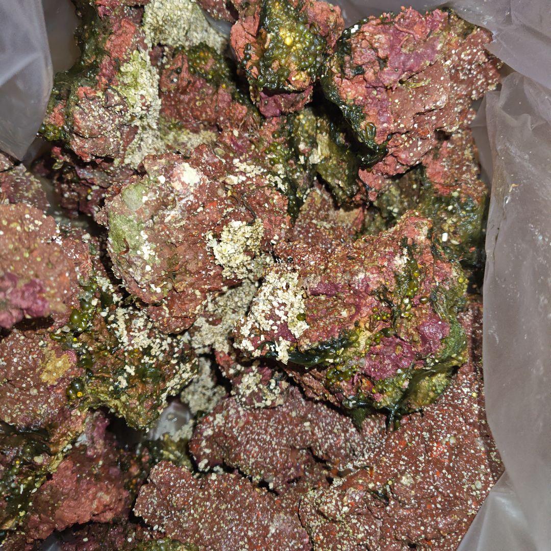 人工ライブロック 約12kg