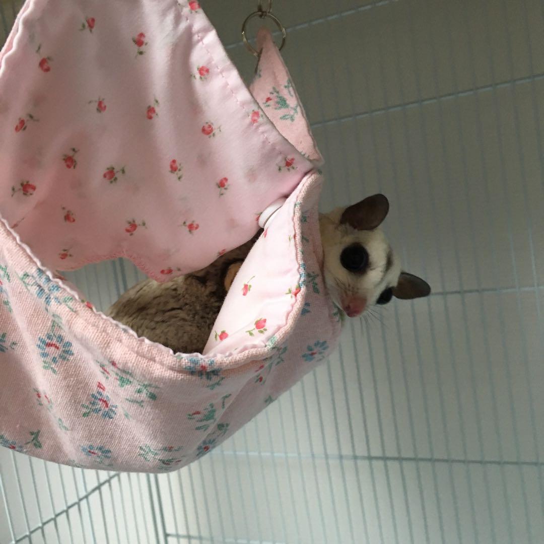 モモンガハウス(花柄Ver 3)  秋・春仕様  1950円