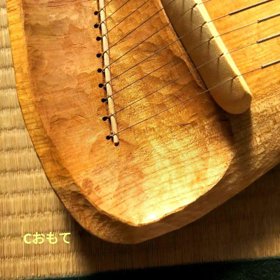 タオライアー 専用ケース付き 2014年製