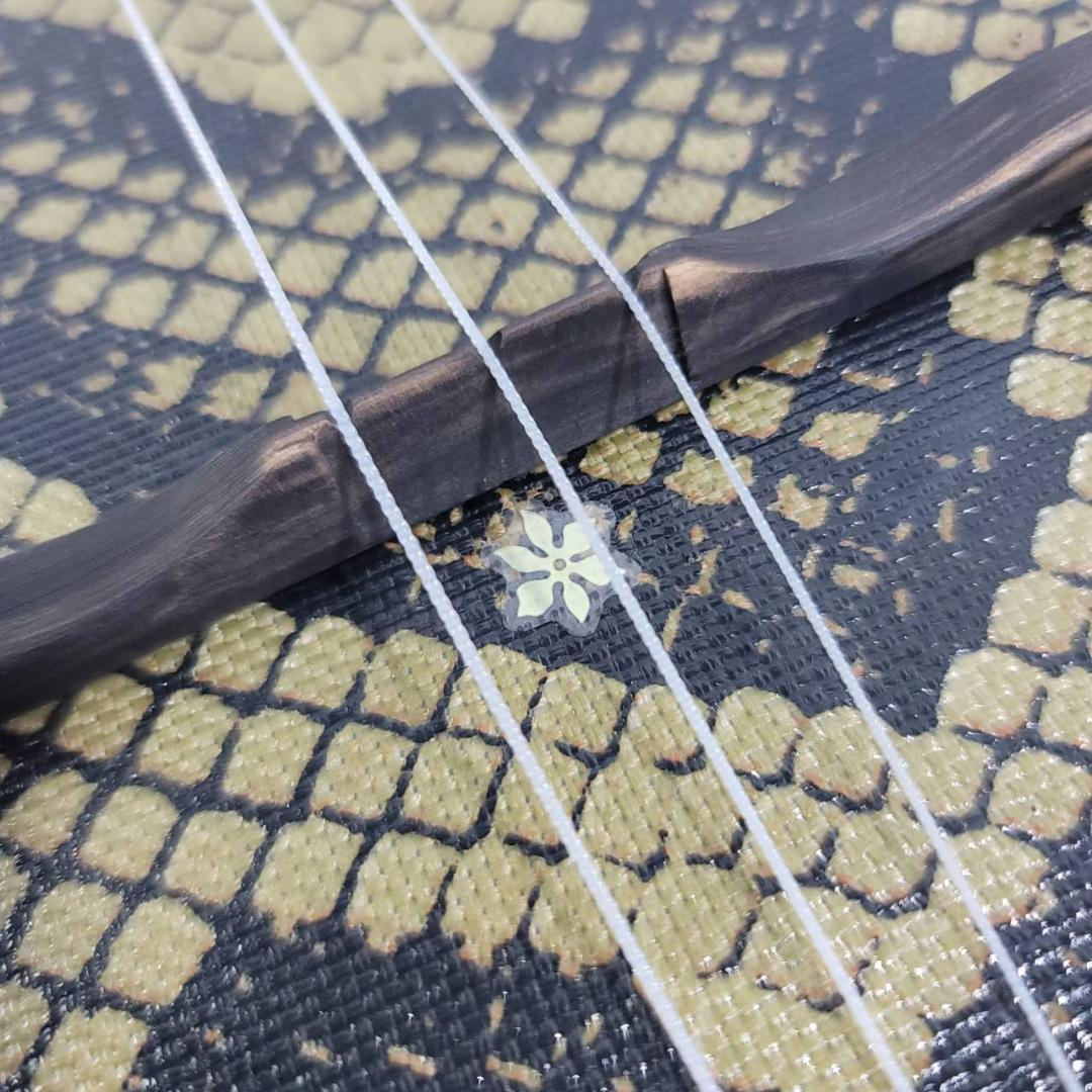 【美品】ASOVIVA 三線 沖縄 琉球 人工皮 アソビバ 付属品多数