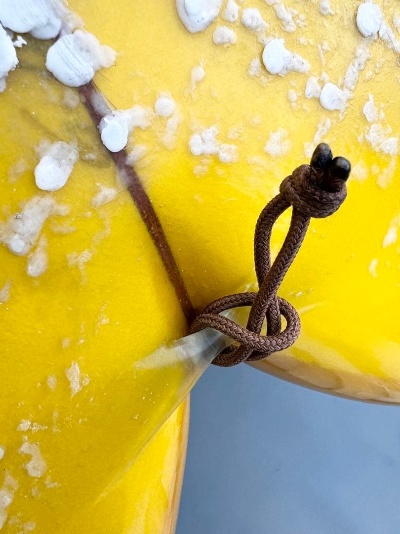 【美品】 Josh Hall 5'9\" SD フィッシュ サーフボード