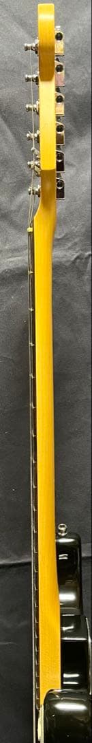 フェンダー USA アメリカン・スタンダード　ストラト GR Roland