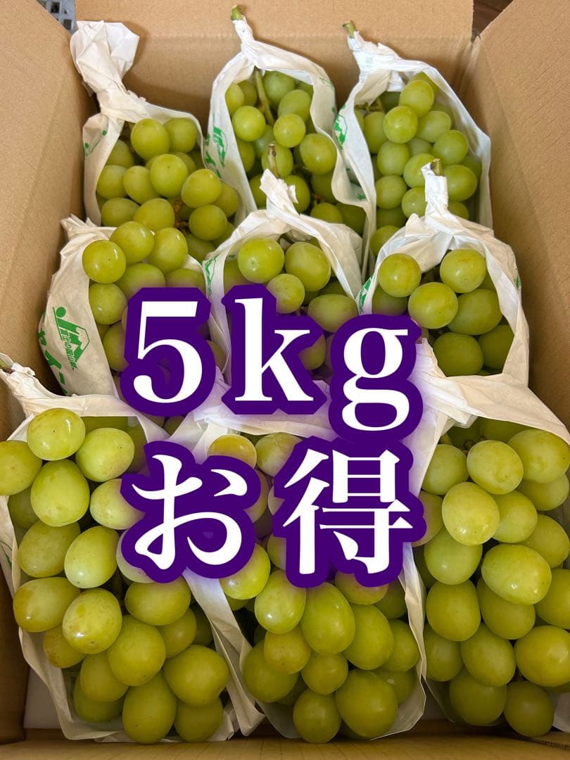 山梨県産　ぶどう　シャインマスカット 正味5キロ　家庭用 そろそろ終わり