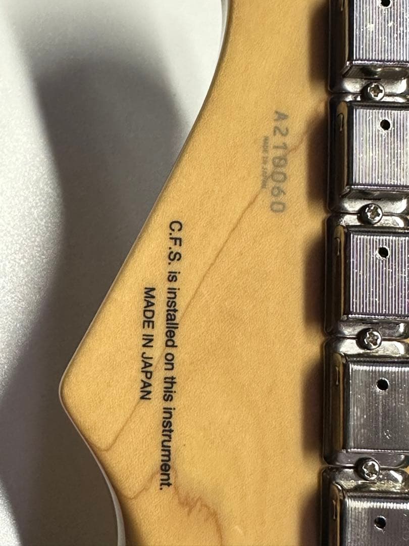 Fujigen フジゲン NST11 RAL-CAG