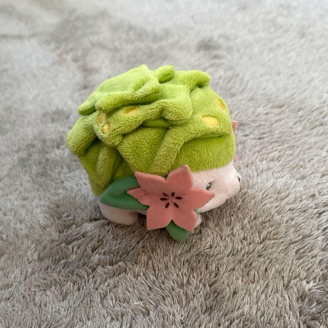 ポケモンキャンバス シェイミ ぬいぐるみ