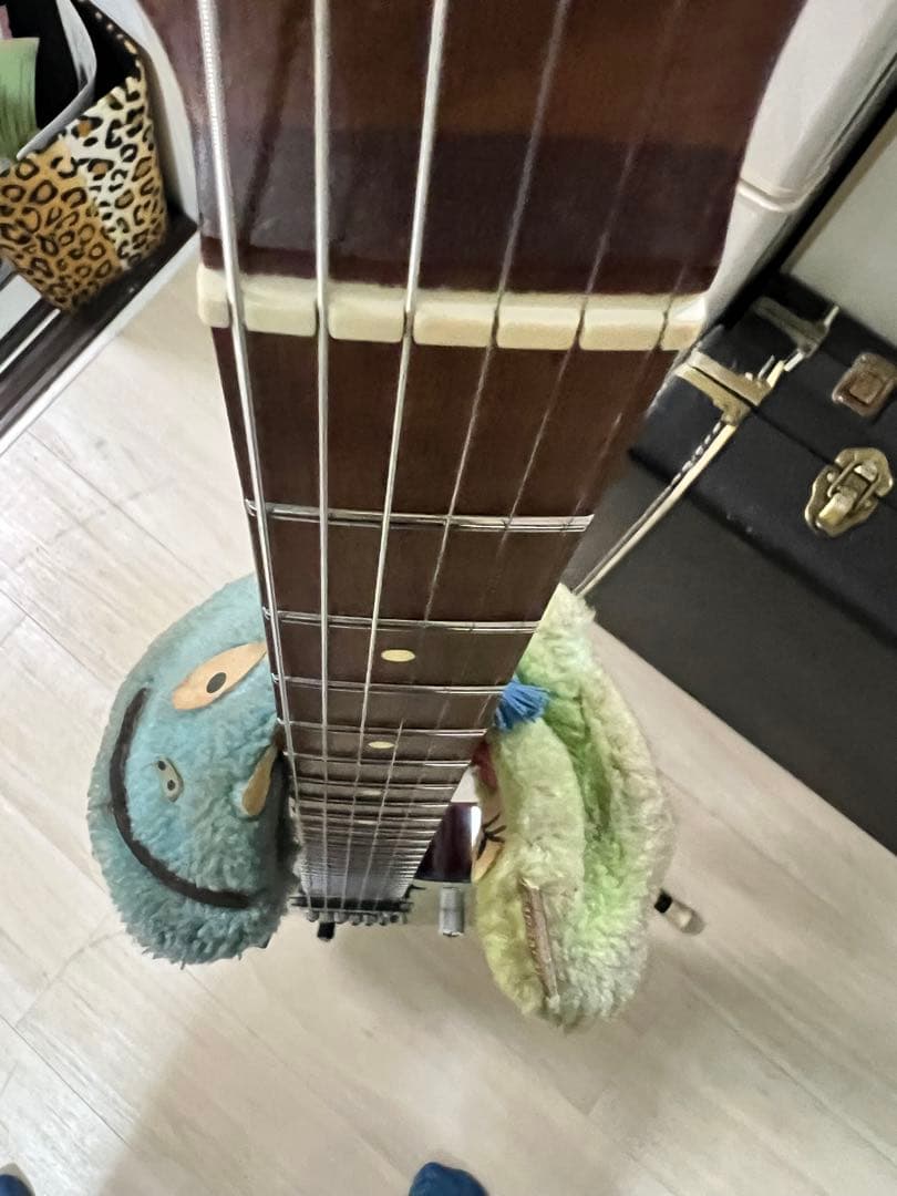 Bacchus tactics24 テレキャス　エレキギター