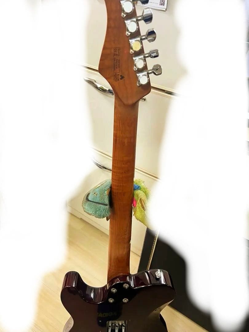 Bacchus tactics24 テレキャス　エレキギター