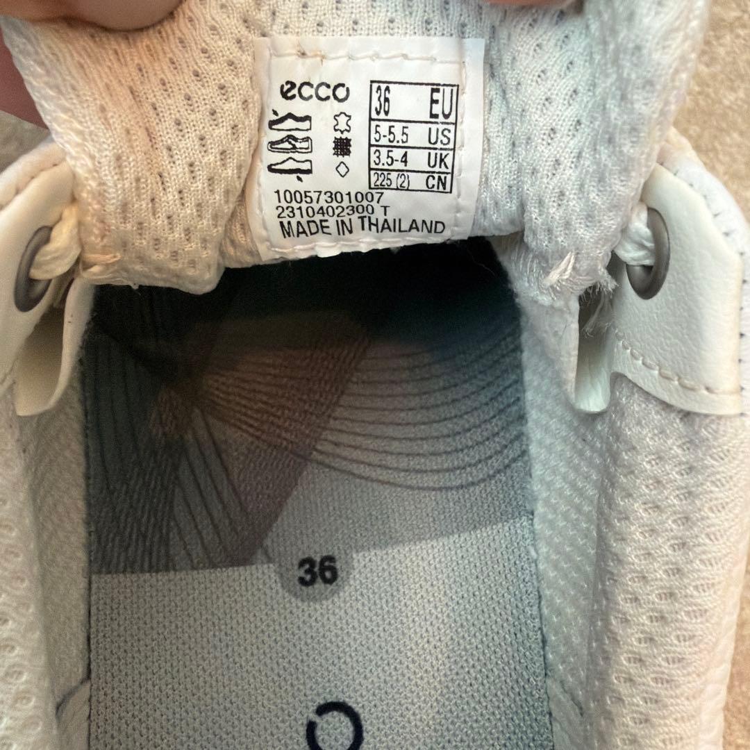 ecco エコー　ハイブリッド　ゴルフシューズ　biomモデル