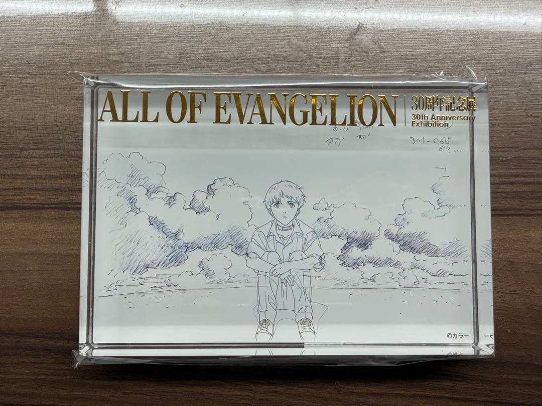 【即日発送可能】エヴァンゲリオン 30周年記念 アクリルブロック　碇シンジ