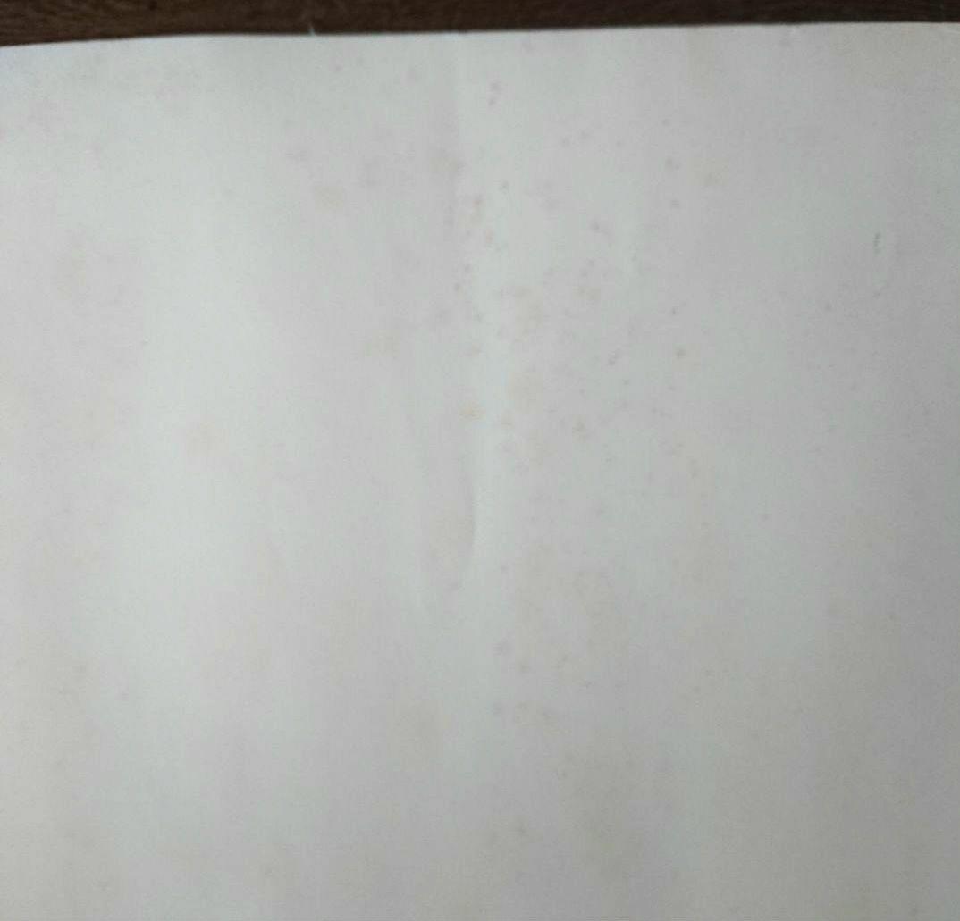 【未使用】【公式】 中森明菜 ポスター Ｂ１