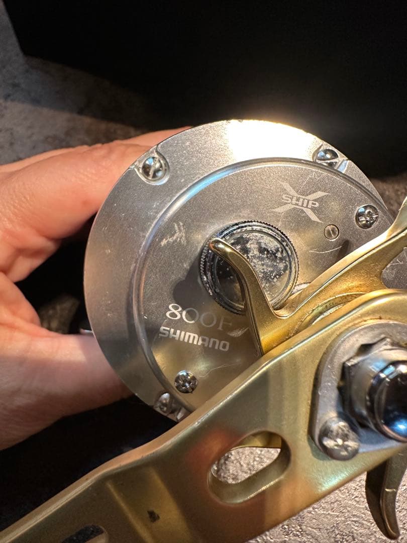 シマノ SHIMANO カルカッタ800F 船釣り