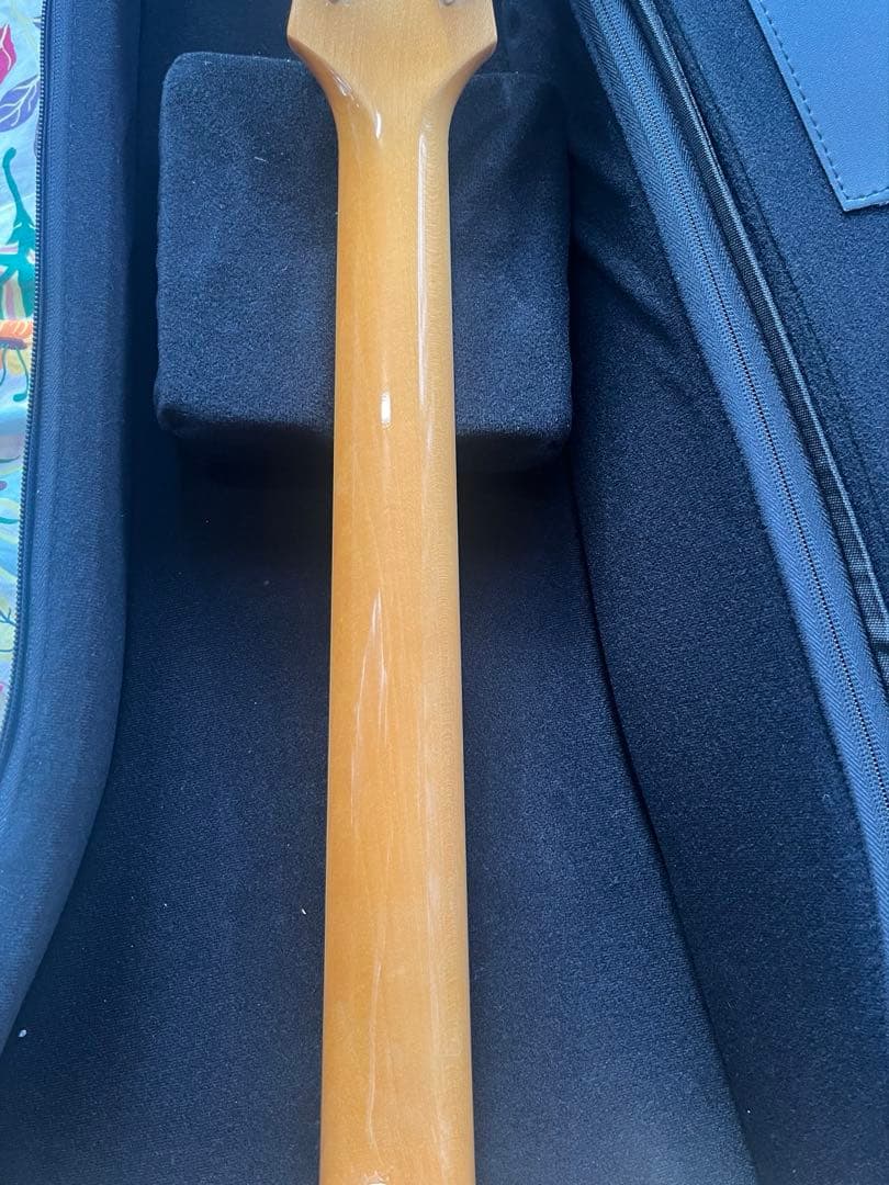 Epiphone Casino 寺田楽器製