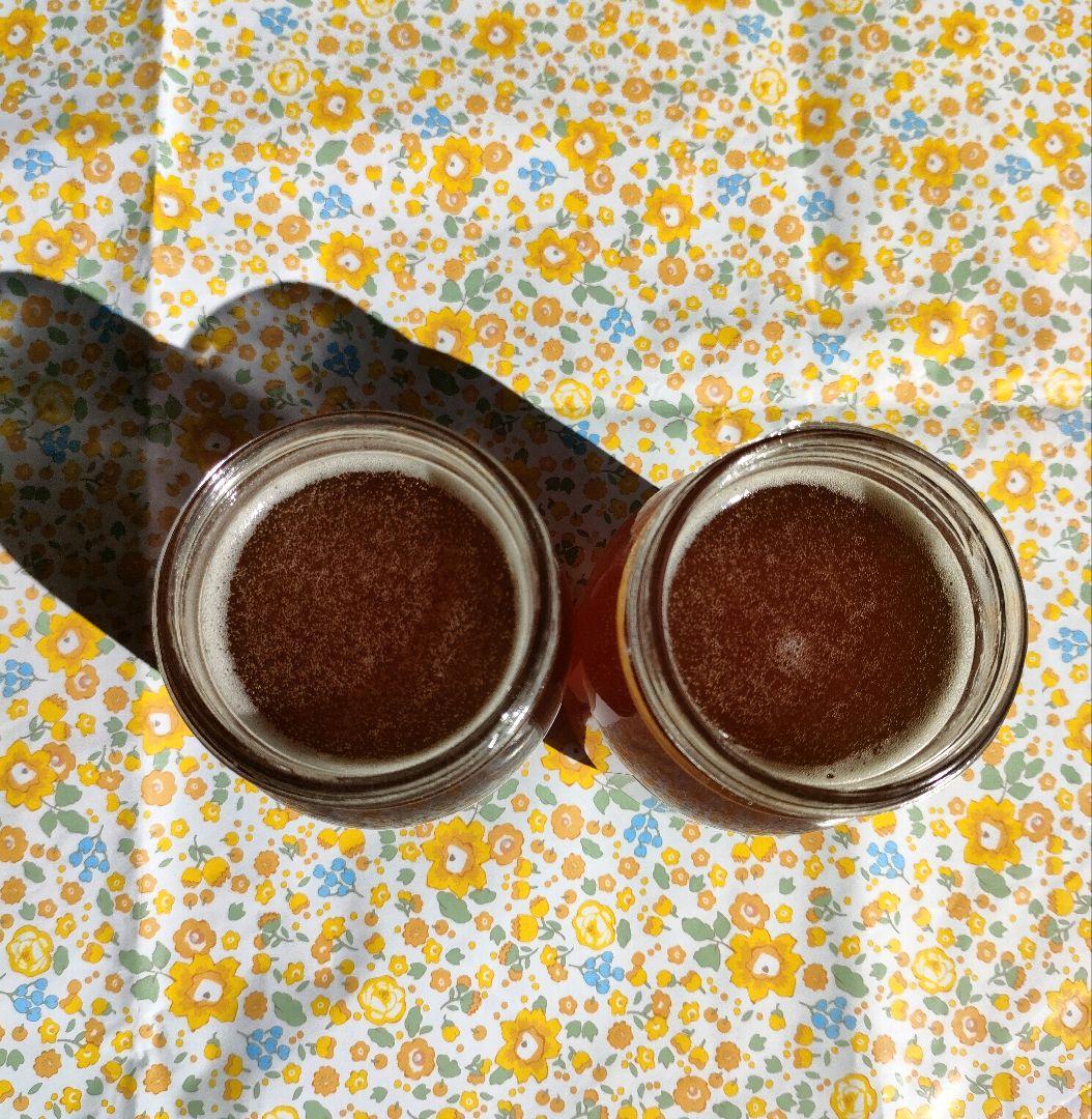 年末特価20%OFF 実容量600g×2瓶　日本ミツバチの蜂蜜