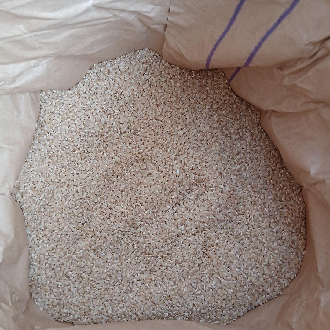 ひとめぼれ米 令和７年度 宮城県産 玄米　３０kg