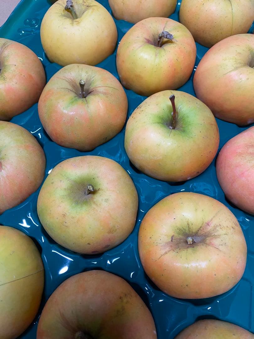 NABE　リンゴ詰め合わせ　10kg