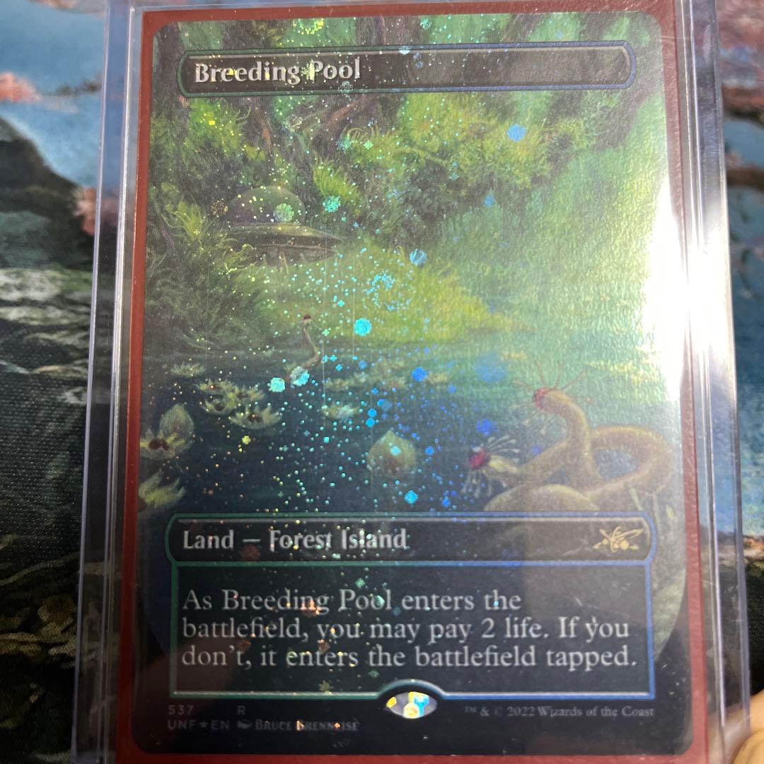 MTG 繫殖池 ギャラクシー foil