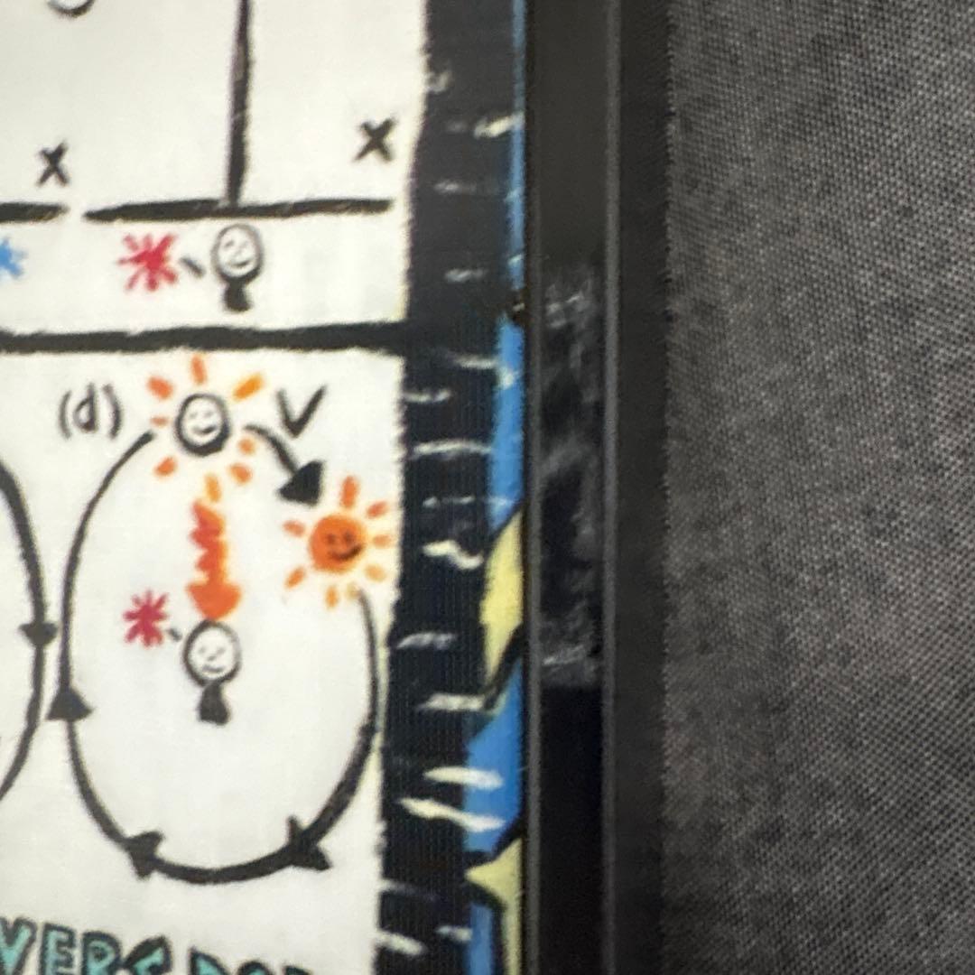 ラブブ　3Dアート　額付き　ポップアート キャラクター印刷キャンバス