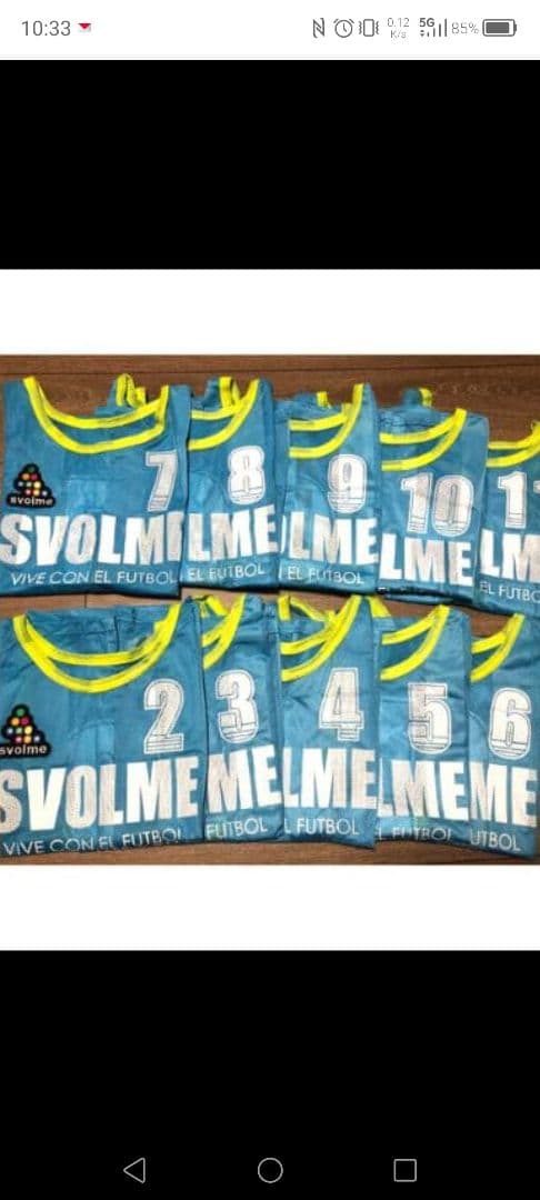 スボルメ　ビブス10枚セット