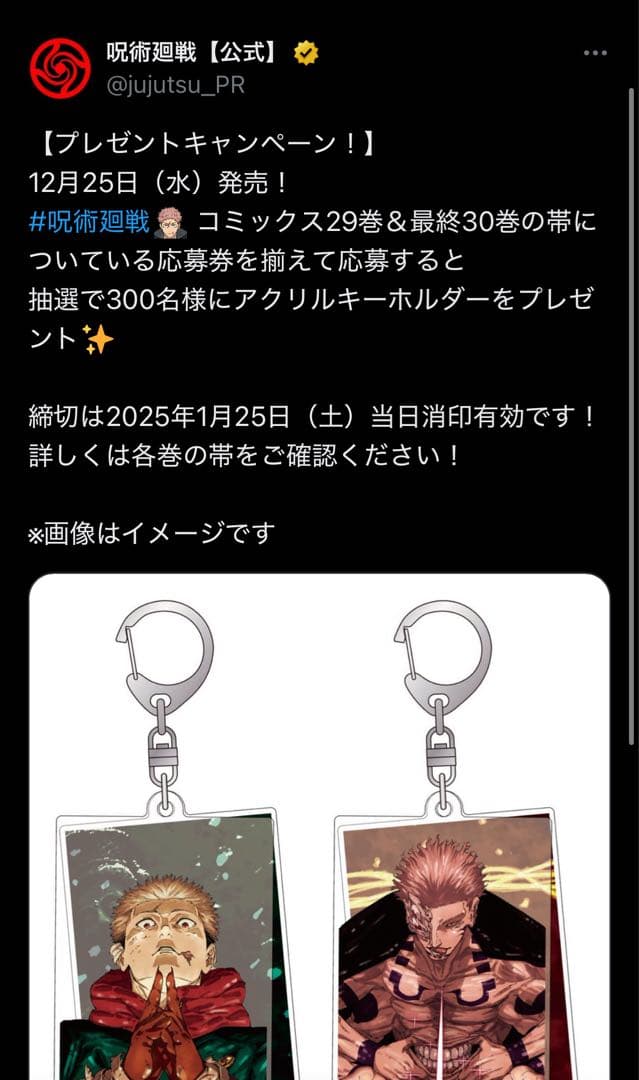 【300名限定当選品】 呪術廻戦 29巻＆最終30巻 表紙 アクリルキーホルダー