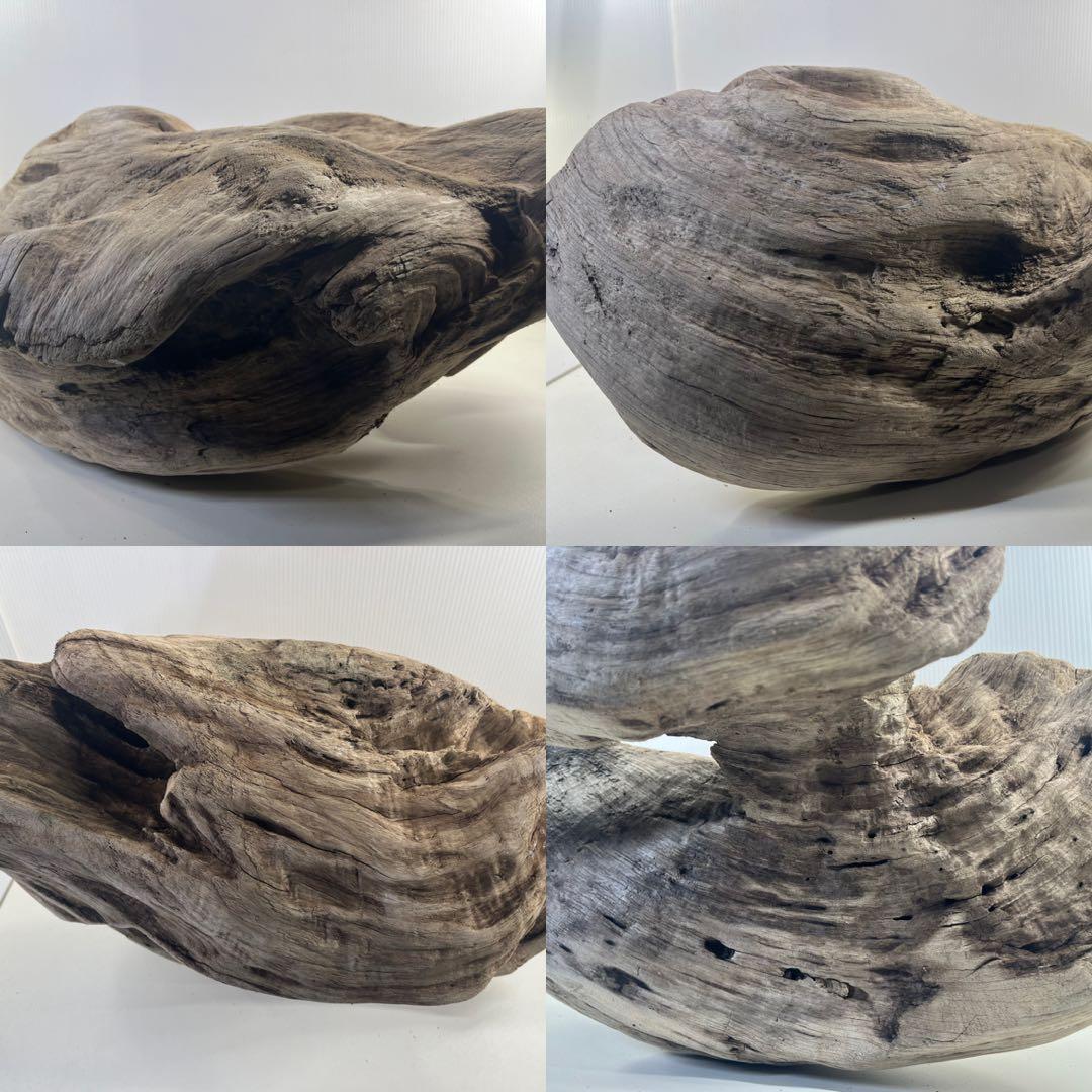 m6大型流木 アク抜き済み 爬虫類シェルター レイアウト用 オブジェ インテリア