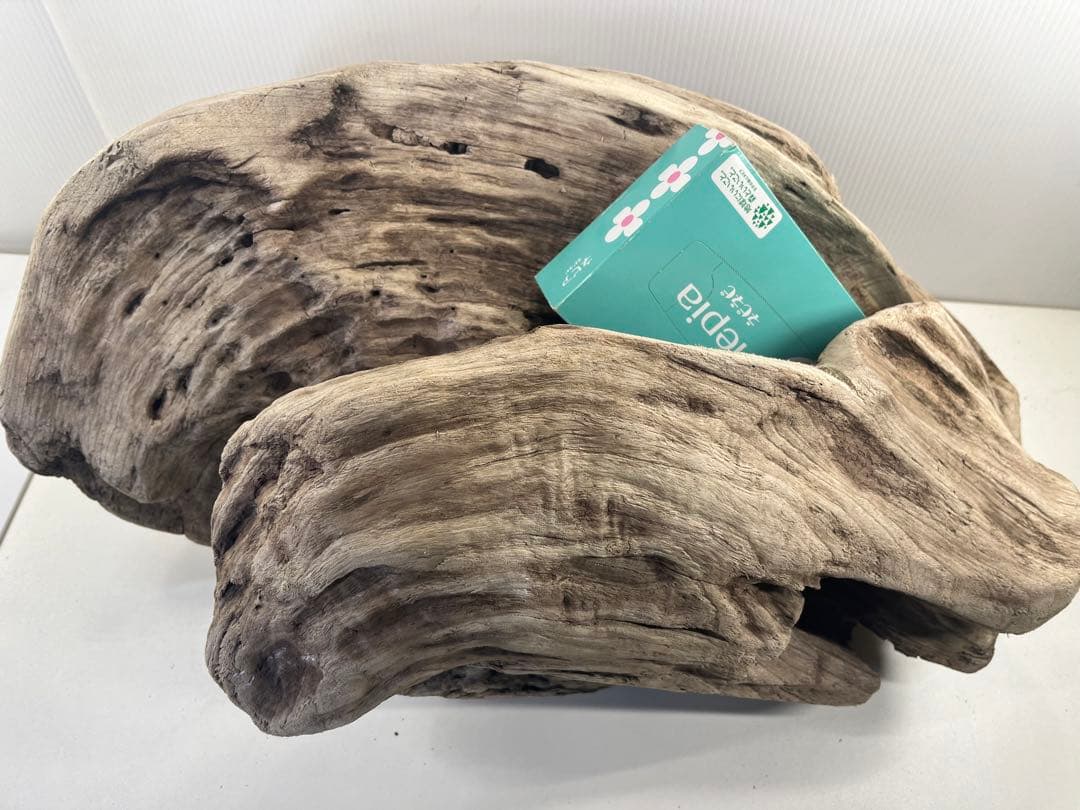 m6大型流木 アク抜き済み 爬虫類シェルター レイアウト用 オブジェ インテリア