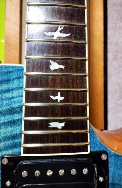 PRS SE ZACH MYERS　ザック・マイヤーズ モデル