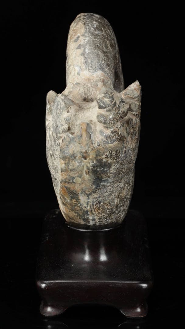 天然アンモナイト化石 重量3.2kg 台座付 古生物標本 鑑賞石 古美術 骨董品