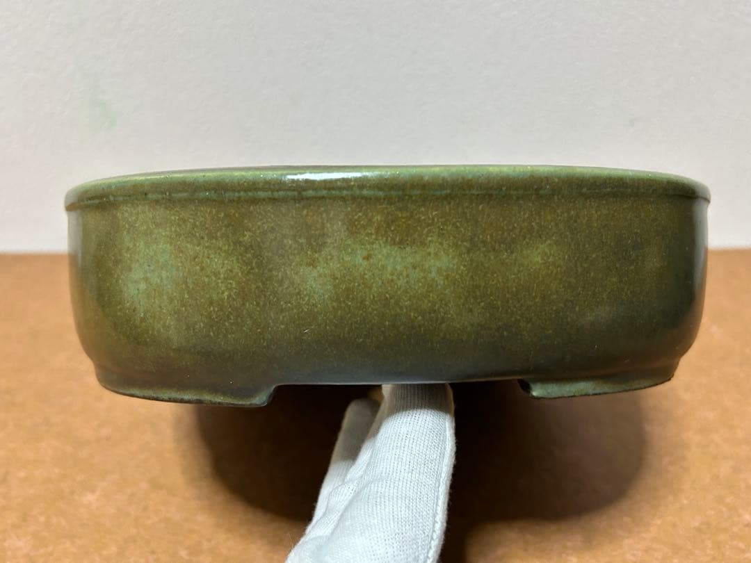 鴻陽　盆栽鉢　小品盆栽　山野草