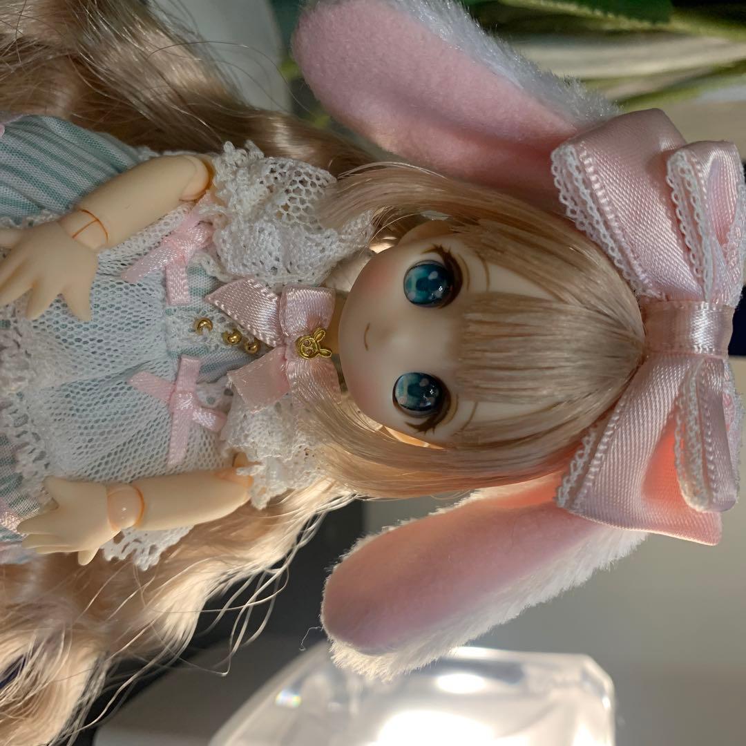 シュガーカップス ビスケティーナ アゾンダイレクトストア限定販売