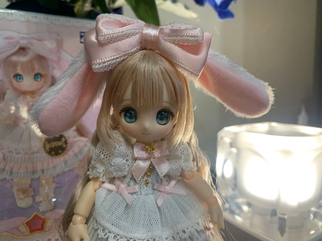 シュガーカップス ビスケティーナ アゾンダイレクトストア限定販売