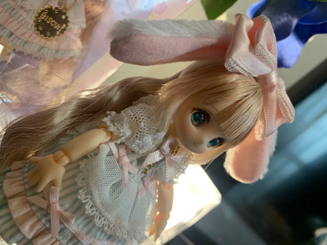 シュガーカップス ビスケティーナ アゾンダイレクトストア限定販売