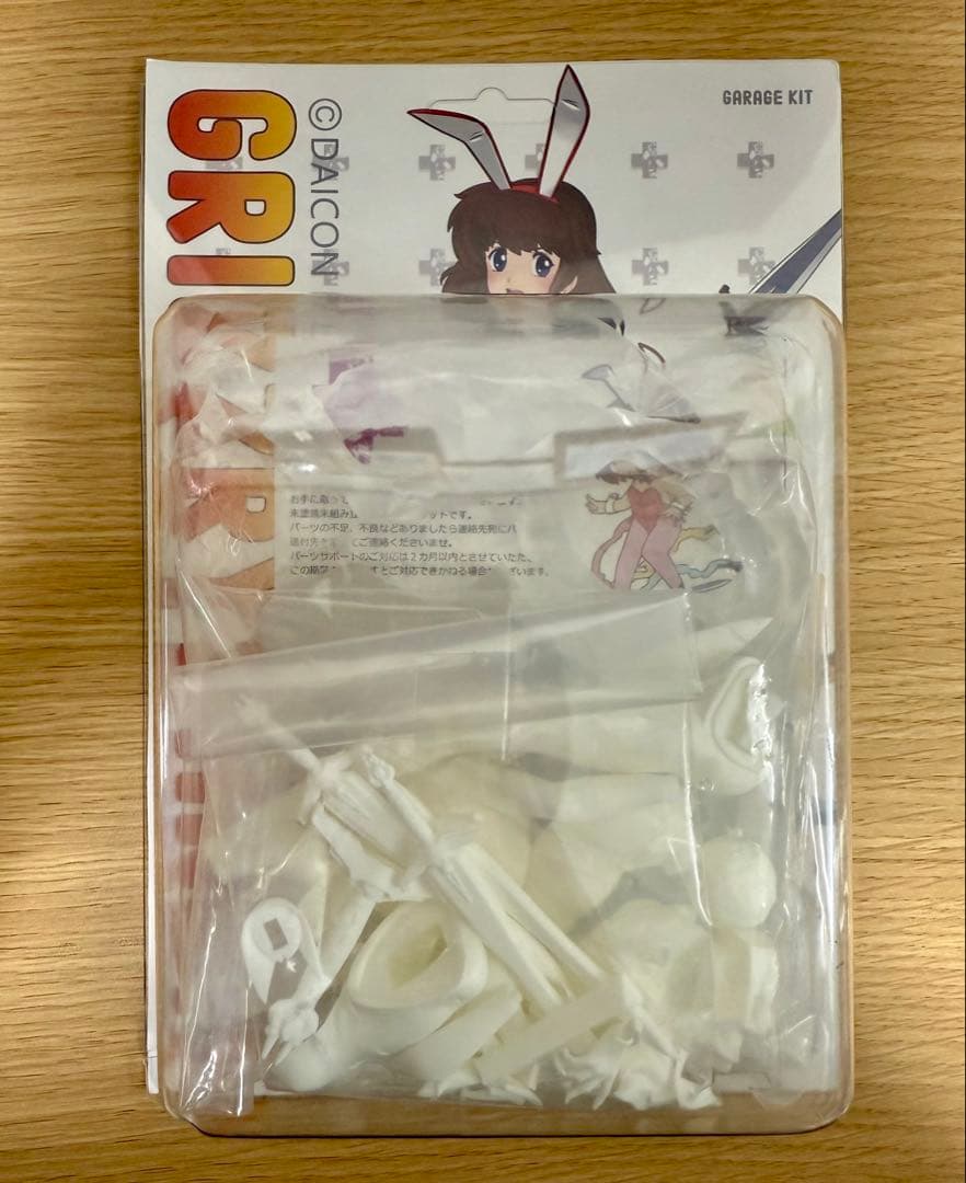DAICONIV オープニングアニメの女の子 ガレージキット