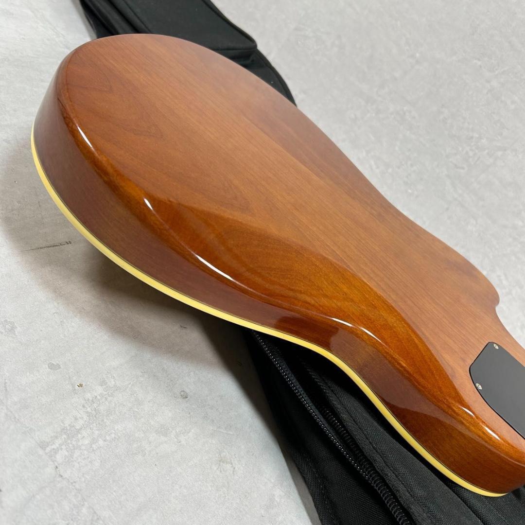 【メンテ済み】Aria Elecord CES50 アリア エレコード エレアコ