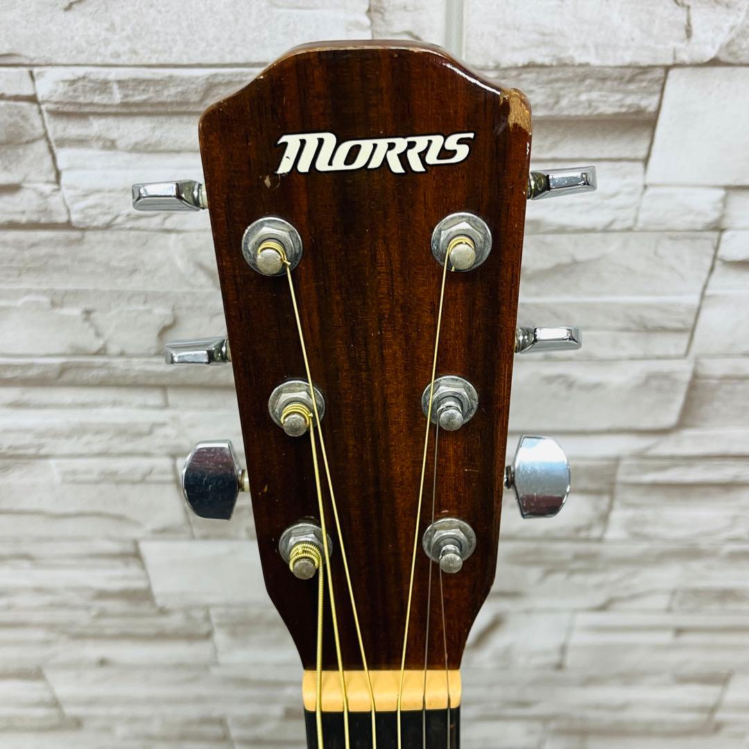 Morris ドレッドノートボディアコースティックギター M-01NAT
