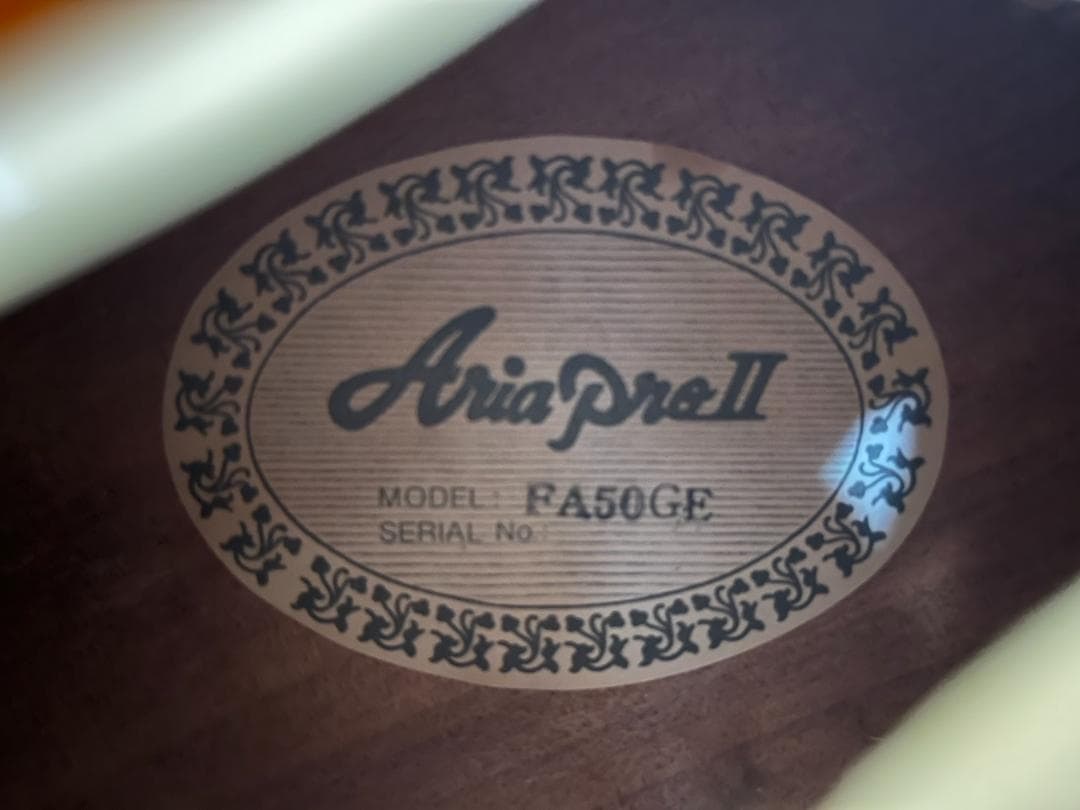 ARIA FA-50GE アーチトップ・ギター（PUモデル）