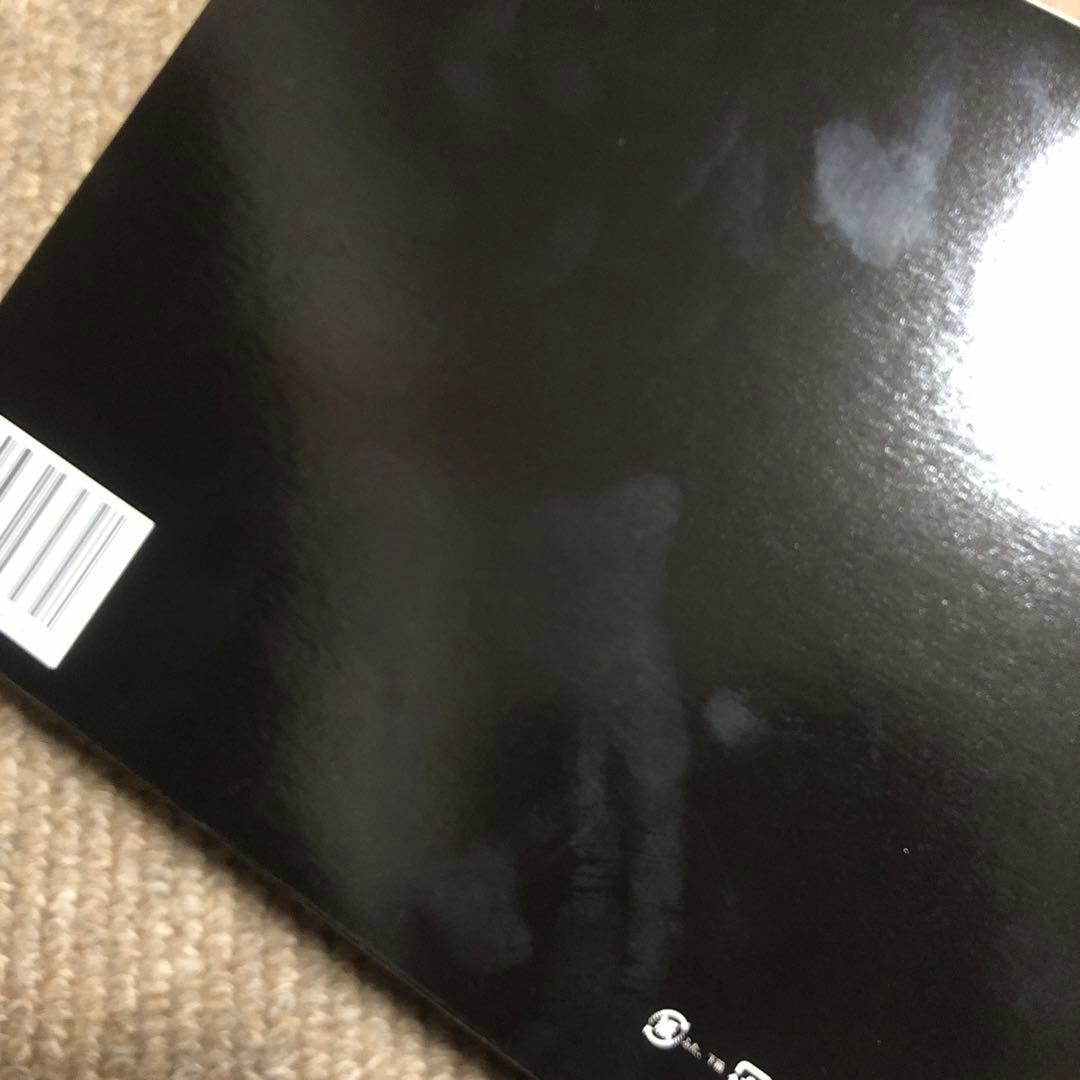 スターフライヤー　モデルプレーン