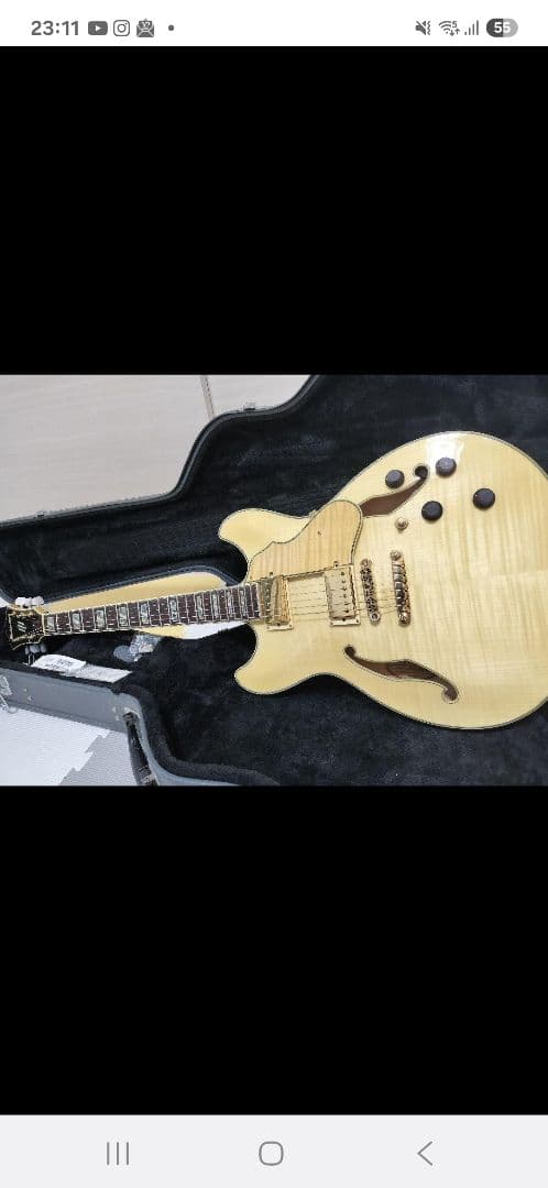 ナチュラル セミアコ アイバニーズ アイバニーズ