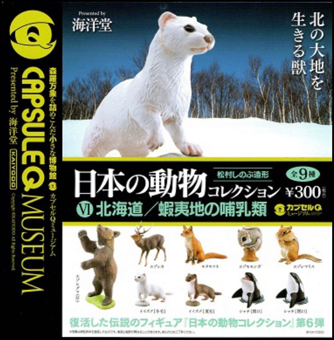 カプセルＱ　日本の動物コレクションⅥ 北海道