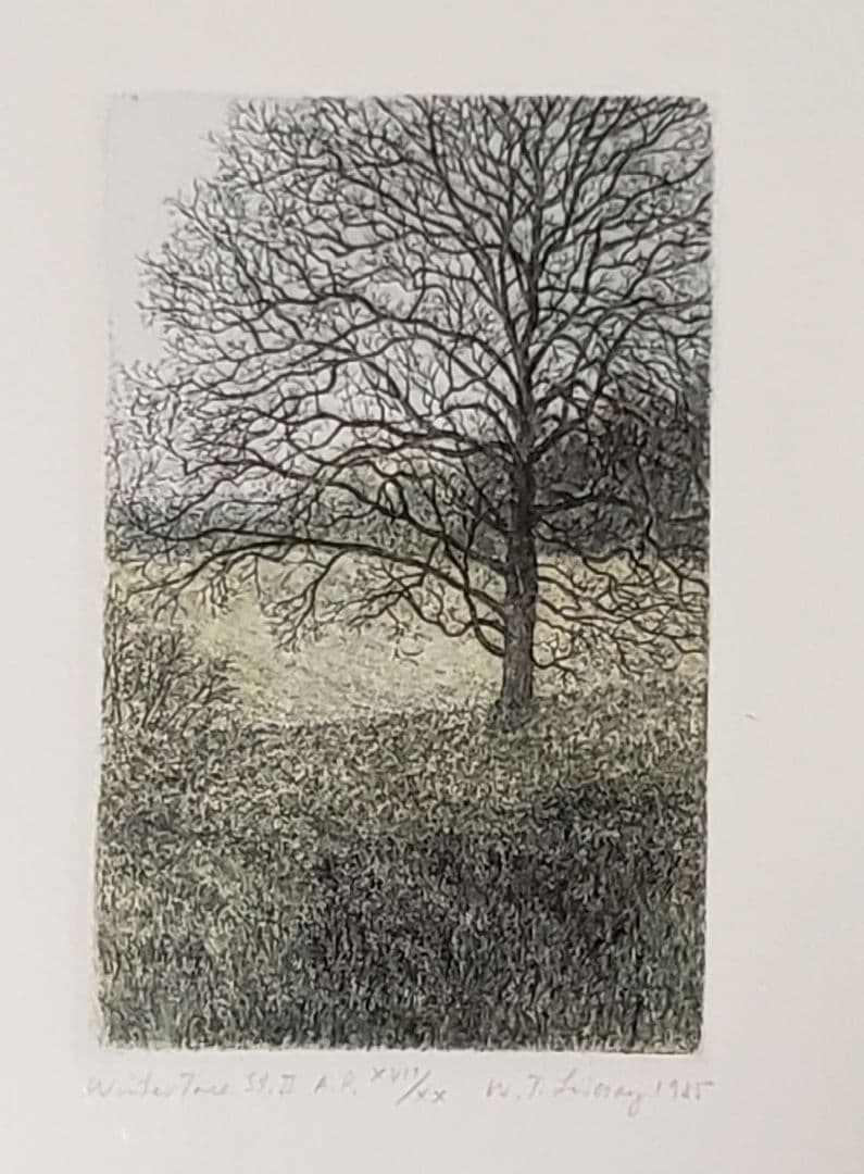 銅版画 冬の樹 1985年