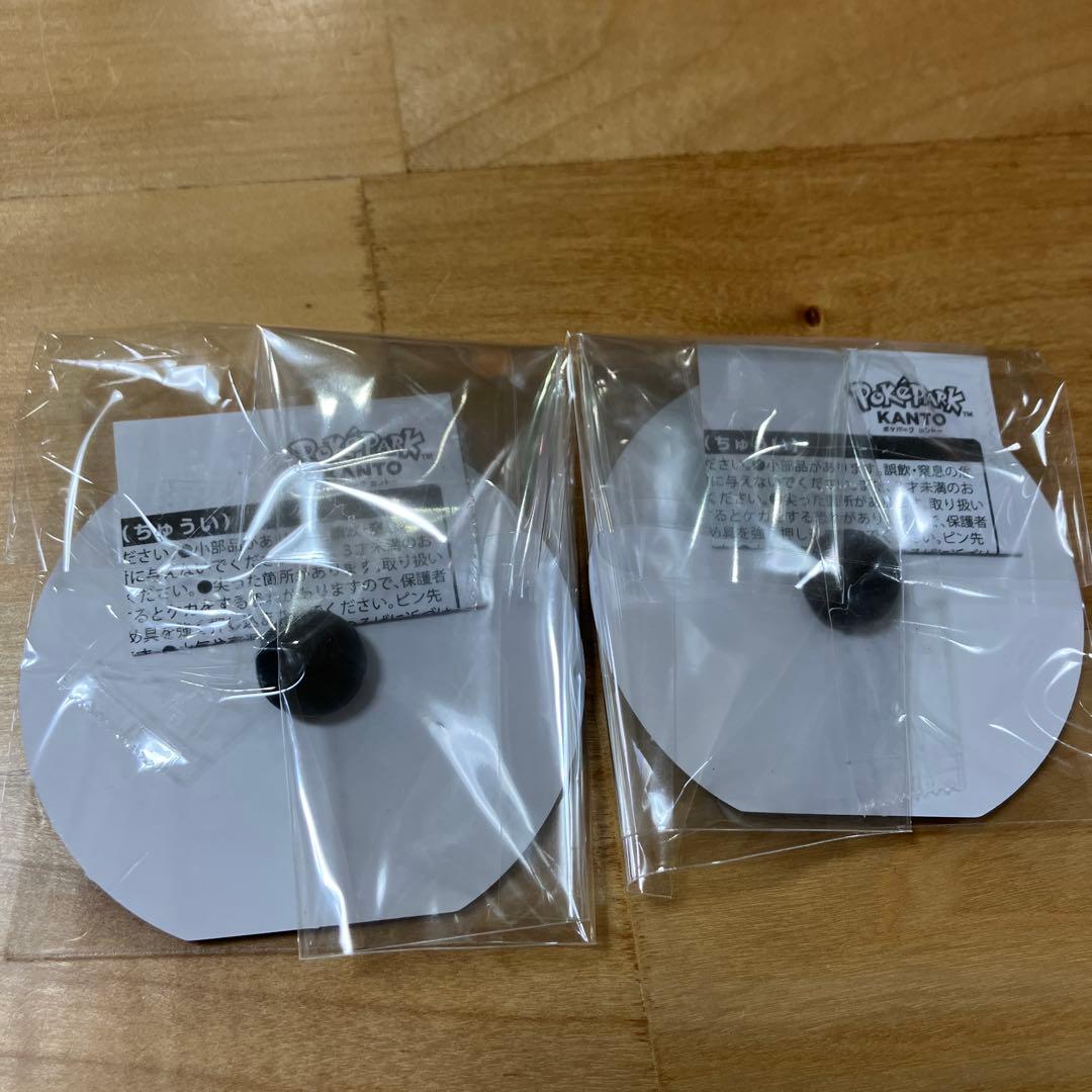 ポケパークカントー ピンズ　２個セット⑨