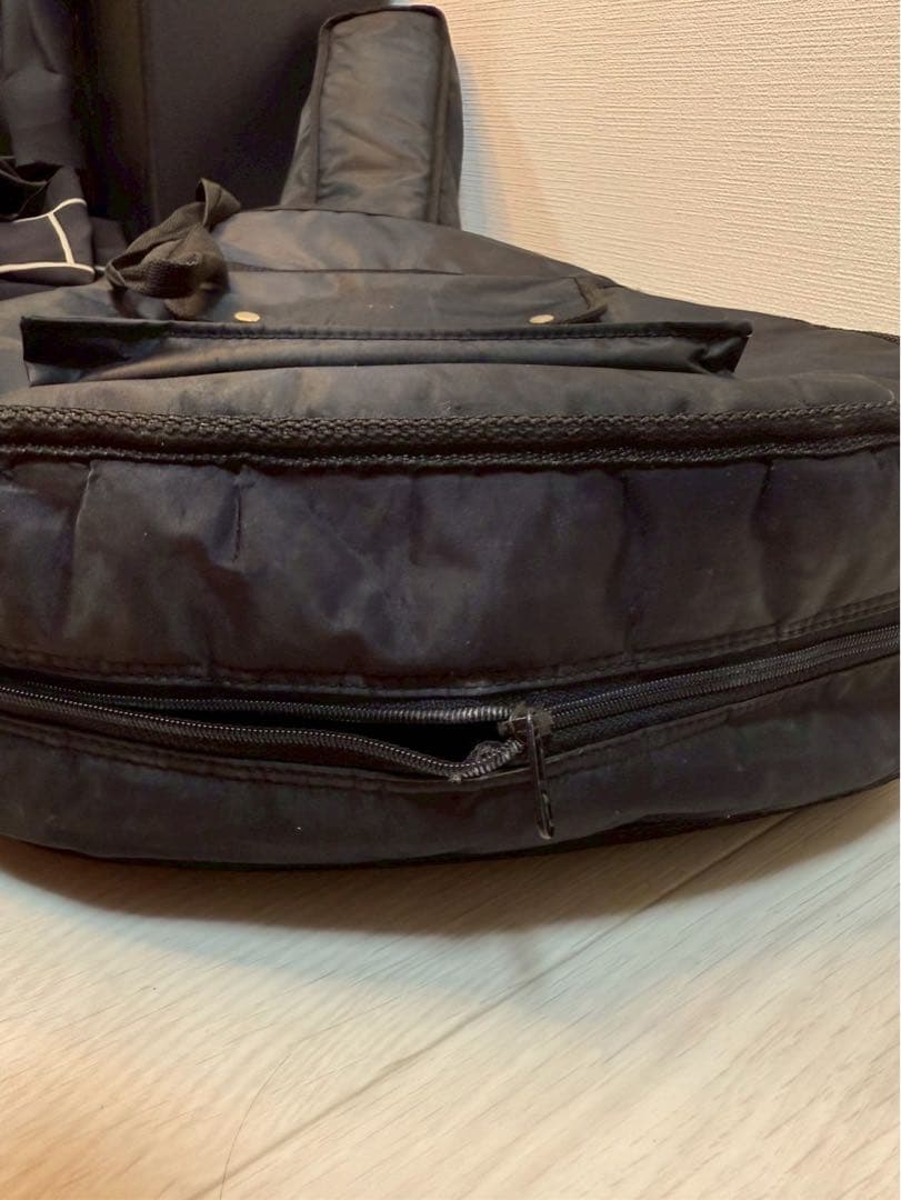 Pro Martin アコースティックギター ギターケース付き