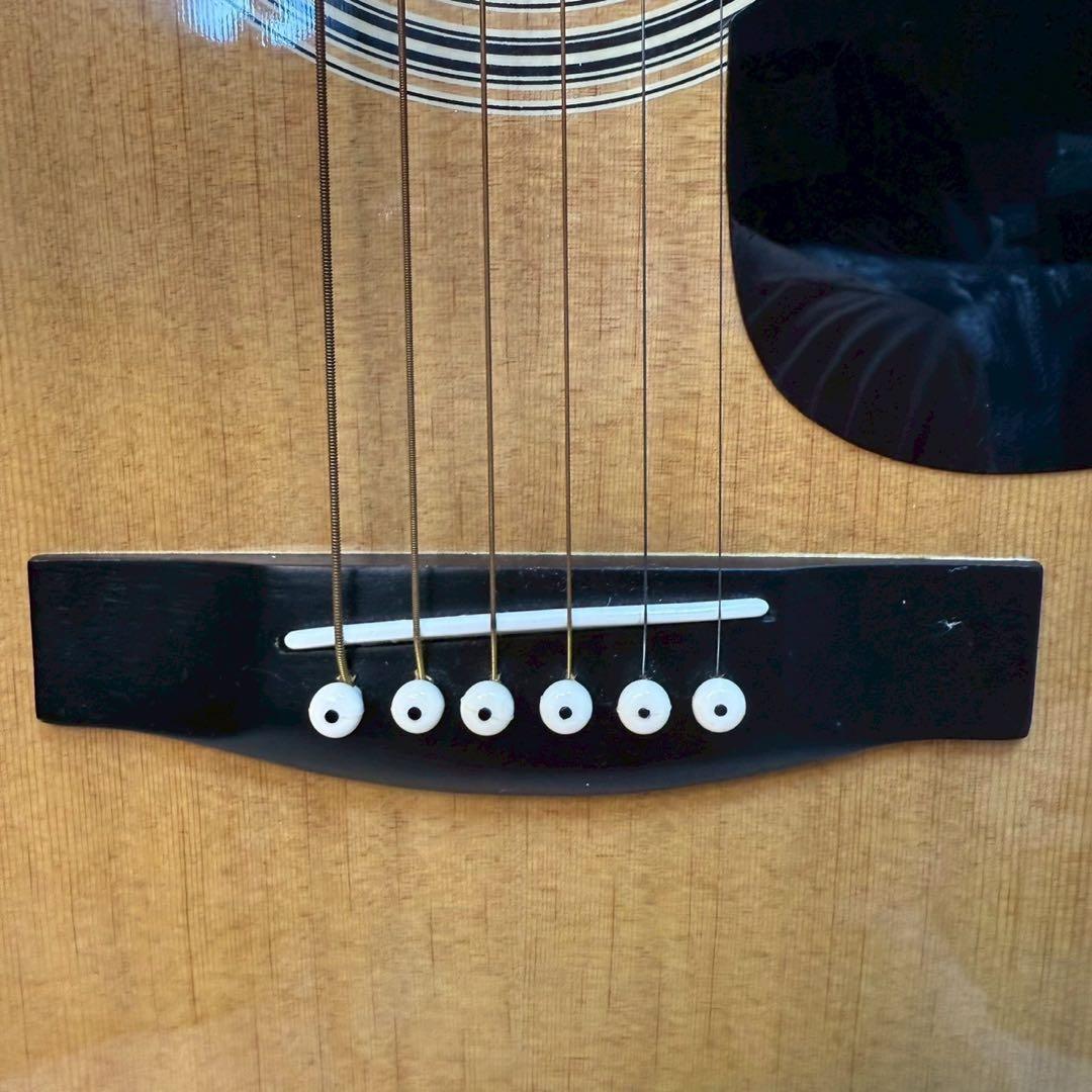 Pro Martin アコースティックギター ギターケース付き