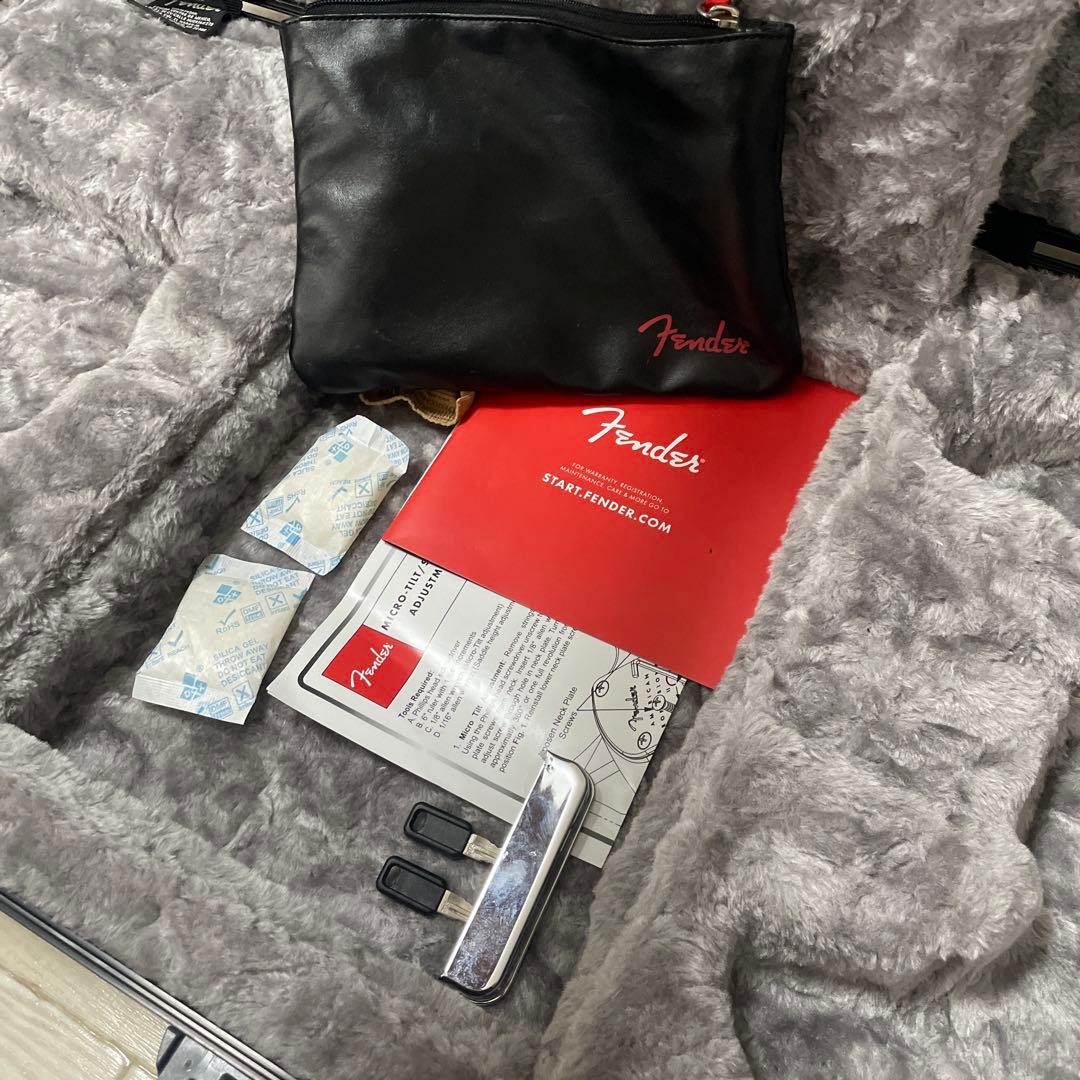 フェンダーアメリカンプロフェッショナルIIテレキャスター