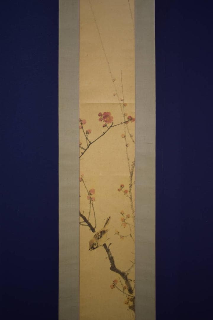 真作/備後福山生/羽田桂舟/紅梅雀図/布袋屋掛軸HI-680