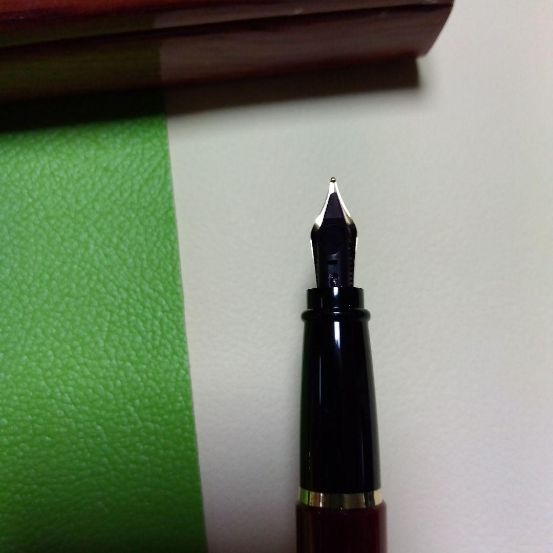 【apollosさま】AURORA 万年筆 　【専用ケース付き】